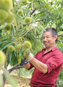 楚雄永仁：特色产业铺就乡村振兴致富路