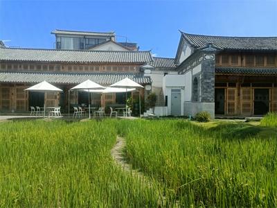 【中国最美乡愁带】处暑：来过一个大理丰收季！你准备好了吗？