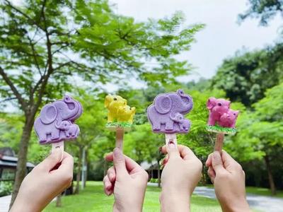 在西双版纳清凉一夏？这些纳凉单品不允许你不知道