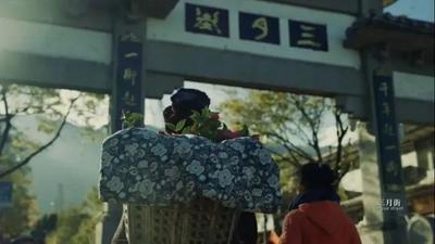 【盘点】你好！请查收本周的大理文旅要闻！