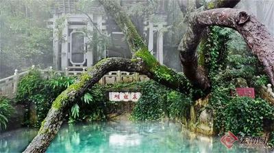 早安云南｜大理蝴蝶泉：五朵金花添雅誉，万千蝴蝶舞翩跹