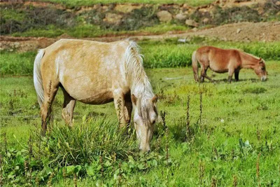 即刻出发，怒江这些地方人少又安逸！