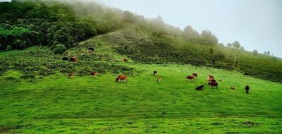 省运会 看玉溪｜夏日避暑游玩，元江这个地方你千万不要错过！