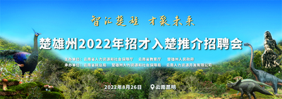 楚雄州2022年招才入楚推介招聘会在昆明举办