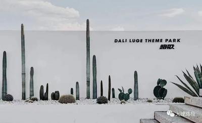 【潮玩大理新地标】来路极畅游一“夏”  感受速度与激情的碰撞