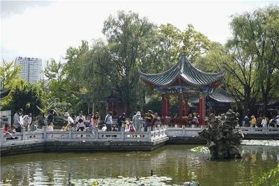 今夏顶流旅游目的地！为什么半个中国的游客都在云南？