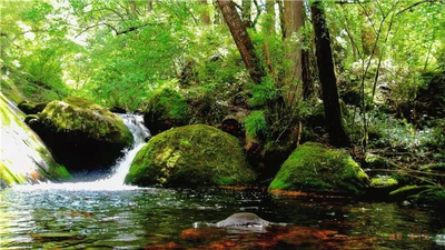 即刻出发，怒江这些地方人少又安逸！