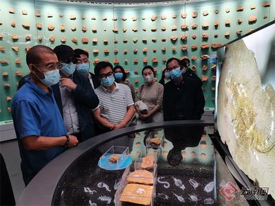 【全国著名作家看云南】采风团走进澄江化石地自然博物馆