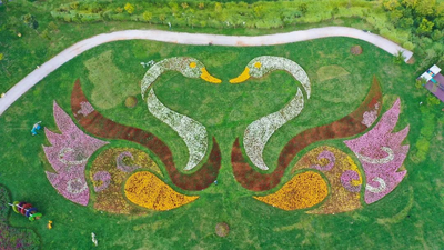 国庆出游推荐｜弥勒景区活动盘点，嗨玩看这篇就够啦！