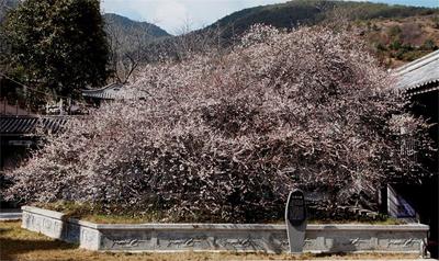 【喜迎二十大】永平博南镇：多措并举助推文旅融合发展