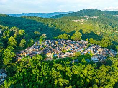 普洱景迈山：走好茶旅融合发展之路，建设高质量茶林文化景区