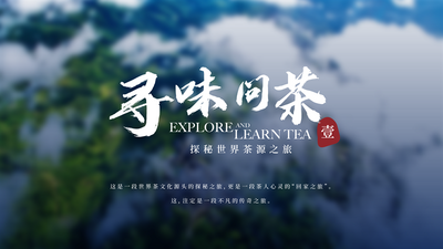 初秋时节 寻味问茶 赴一场“探秘世界茶源之旅”
