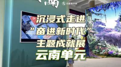 成就展·看云南⑪丨沉浸式走进“奋进新时代”主题成就展云南单元