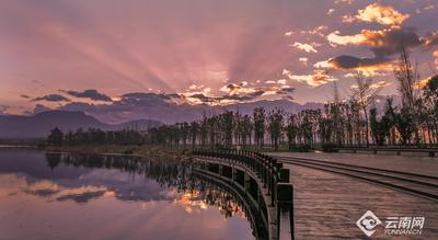 早安云南 | “保山之眼”青华海，候鸟翩跹 “湿”情画意