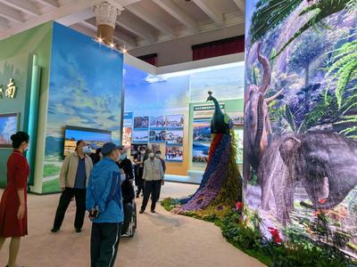 成就展·看云南③丨云南这个特色展项在“奋进新时代”主题成就展上好评如潮