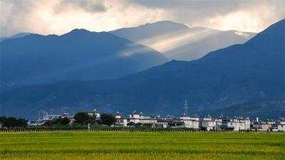 【国庆特辑】来大理，赶一场风吹稻花香！