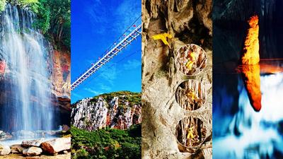 穿越亿万年时光 只为探寻它们的万般风貌 