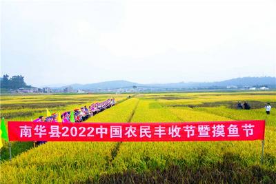 南华丰收鱼 打好渔旅融合发展牌