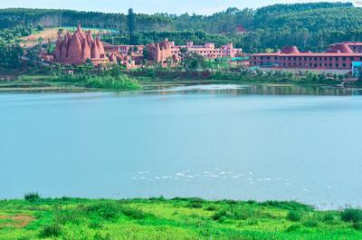弥勒乡村游｜来东风，赏美景，吃葡萄，品红酒......