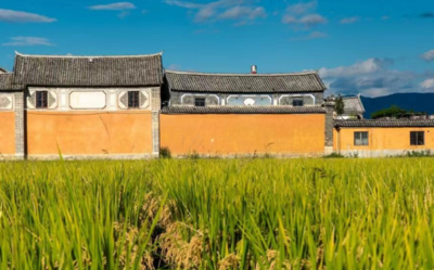 【中国最美乡愁带】白露时节，大理这些可口的时令水果有没有戳中你的心？