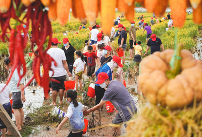 ​南华农民丰收节 线下人山人海线上万众瞩目