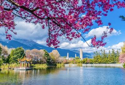 【有一种生活叫大理】来大理，赴一场“星星的约定”！