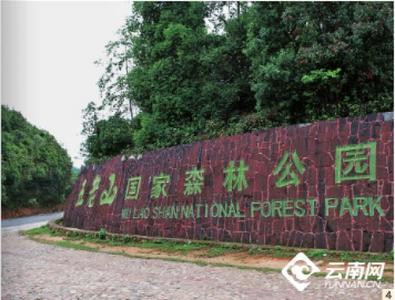 早安云南 | 五老山国家森林公园：层峦叠翠白云悠，壑谷青林掩碧流