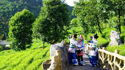 【国庆特辑】走，去大理新增的国家3A级旅游景区旅游吧