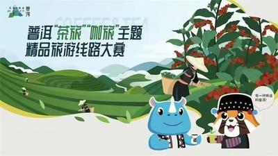 一起来pick！2022年普洱市“茶旅”“咖旅”主题精品旅游线路大赛进入决赛冲刺阶段