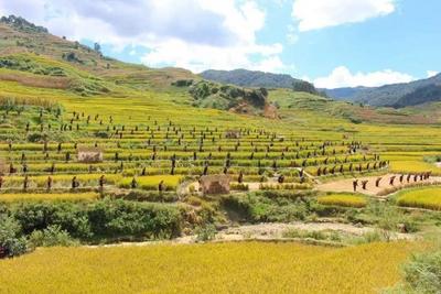 迎国庆 游玉溪丨玉溪推出多彩文旅活动，喜迎“十一黄金周”！