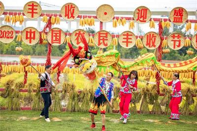 在线观看量超600万！云过南华农民丰收节 共庆丰收好年景