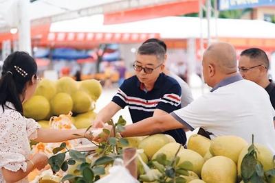 西双版纳柚子上市了，满树“柚”惑等你来！