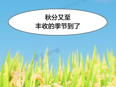 秋分又至，庆祝丰收的季节，不能忘了他们