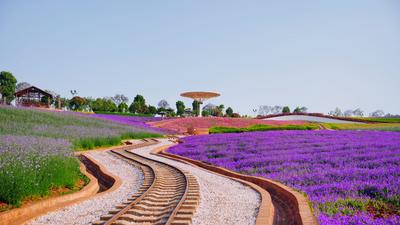 弥勒乡村游｜来东风，赏美景，吃葡萄，品红酒......