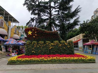金秋菊满园 昆明动物园邀您国庆赏秋菊