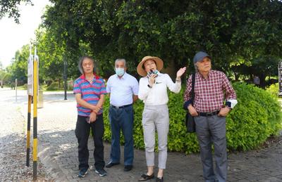 美丽乡村艺术行活动走进蒙自，专家学者眼中的碧色寨是什么样？