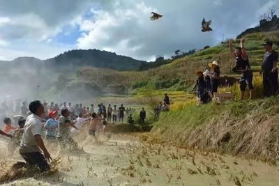 玉溪元江：金秋九月，来哈尼山寨寻个不一样的秋天！