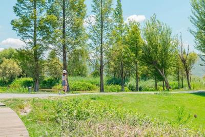 【有一种生活叫大理】去骑行吧，像风一样自由！