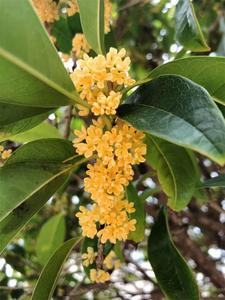 【游大理 正当时】一定要在秋天，来一次大理！