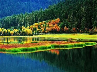 【温馨提示】国庆节假期来迪庆州的游客朋友们注意了！