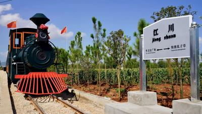 玉溪江川：开往星云湖畔的小火车让“诗和远方”更美