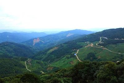 初秋，访镇沅金山丫囗