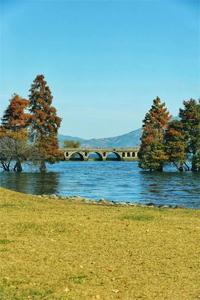 【艺术大理】瞧一瞧，大理这些桥！