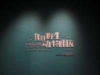 图集 | 我的野生动物朋友暨动物标本展