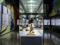 图集 | 我的野生动物朋友暨动物标本展