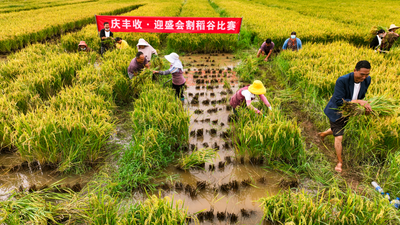 ​南华农民丰收节 线下人山人海线上万众瞩目