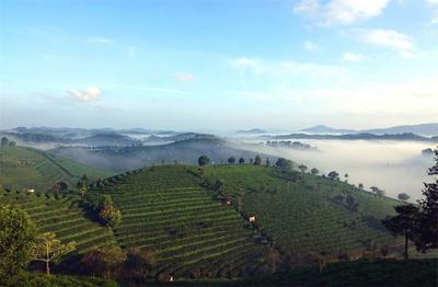 秋日时节，普洱茶山美如画！