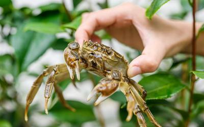 国庆来红河，寻觅你的诗与远方！