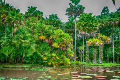 中国科学院西双版纳热带植物园推出教师、中秋双节福利