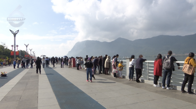 最高奖励3万元！观鸥发现这些行为可举报